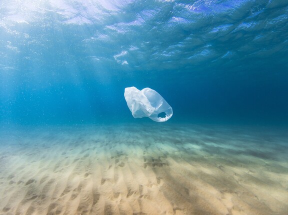 Plastiktüte schwimmend im Meer